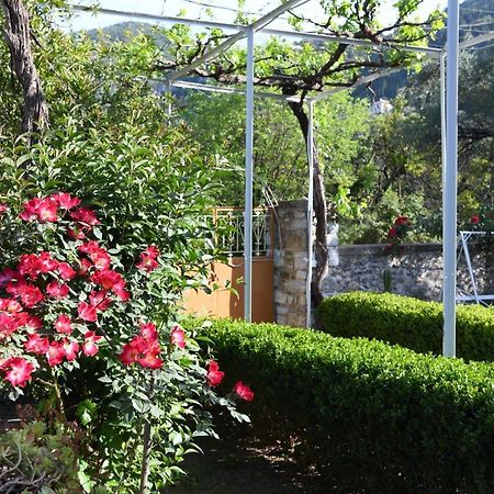 Art Flowers And Culture Mystras Exteriör bild