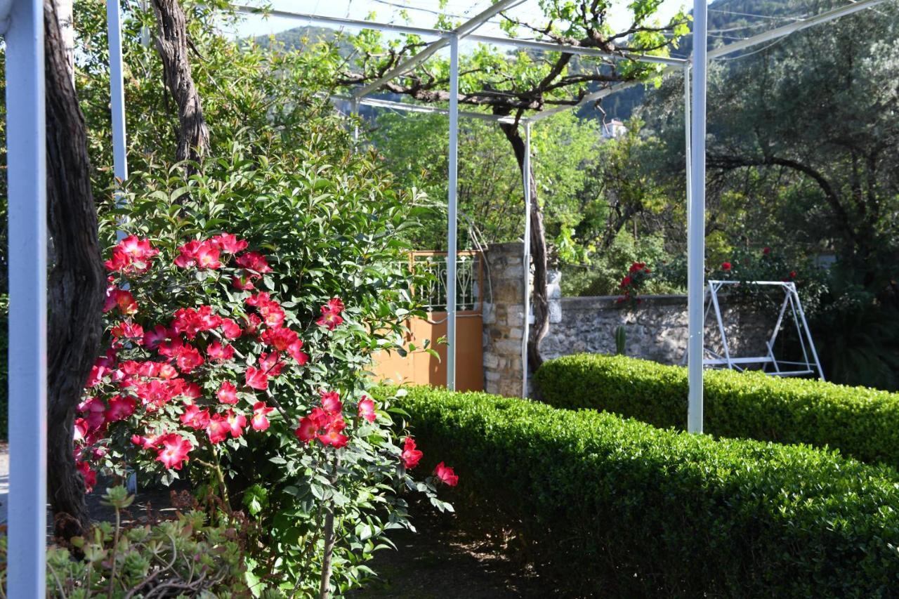 Art Flowers And Culture Mystras Exteriör bild